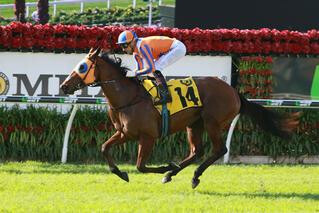 Melody Belle (NZ) claims another big win in the Group 2 Sires' Produce Stakes at Eagle Farm. Photo: Equine Images